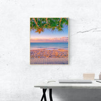 Noosa Beach Boardwalk