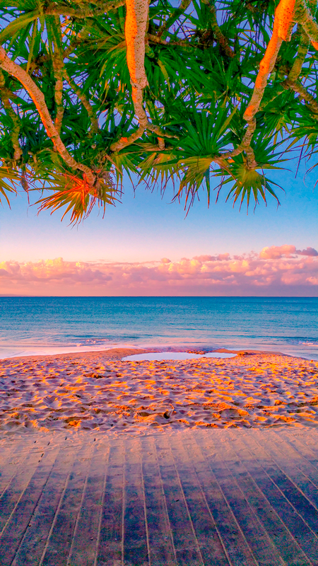 Noosa Beach Boardwalk