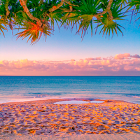Noosa Beach Boardwalk