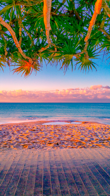 Noosa Beach Boardwalk