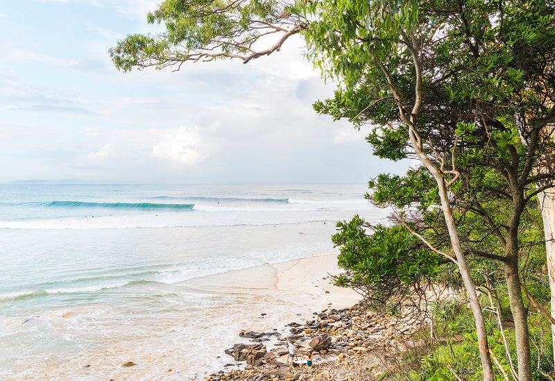 Noosa Little Cove