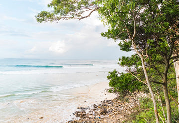 Noosa Little Cove