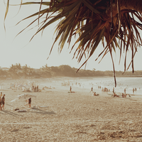 Noosa Main Beach VI