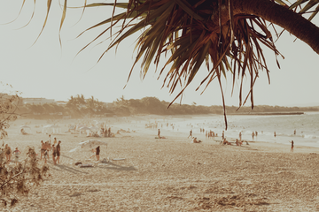 Noosa Main Beach VI