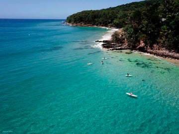 Noosa Heads - Little Cove