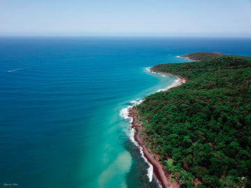 Noosa National Park Headland