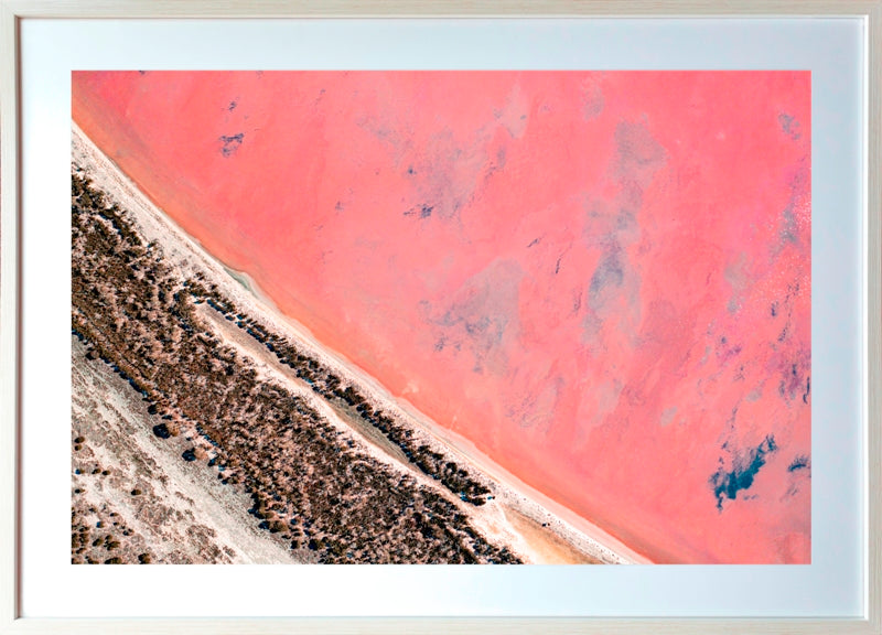 Norring Pinks