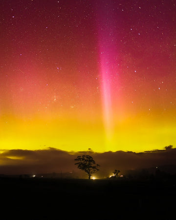 November Aurora