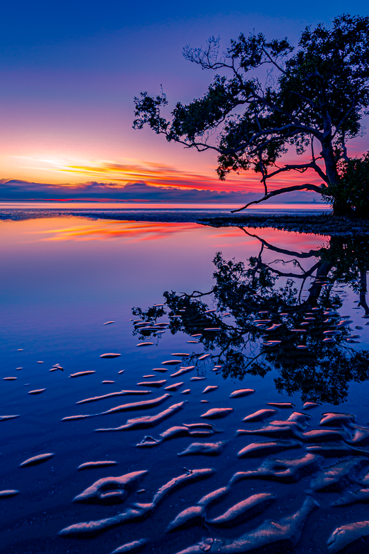 Nudgee beach 2