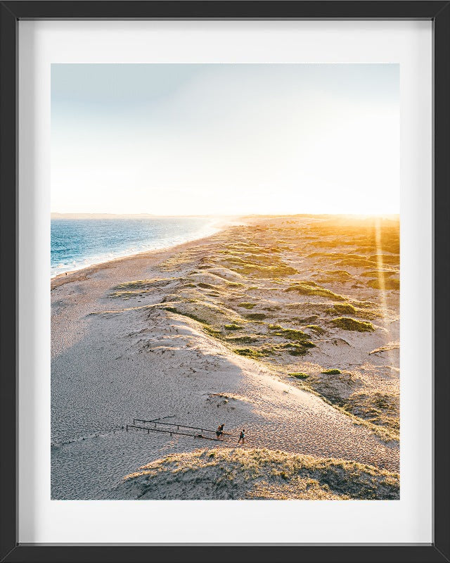 Doggo Dunes