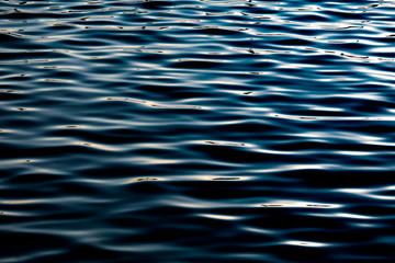 Ocean Veins