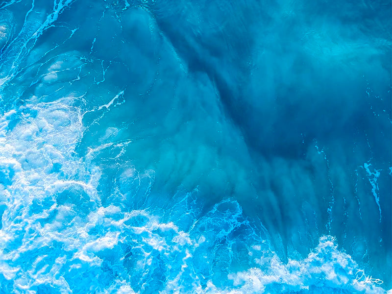 Ocean Vortex
