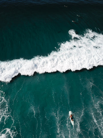 Ocean beauty