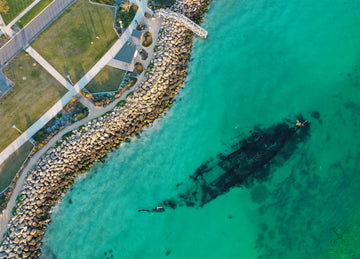 Omeo Wreck