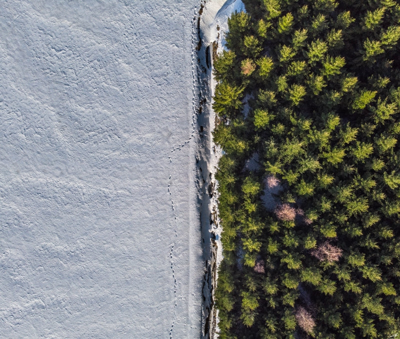 On the edge of Spring