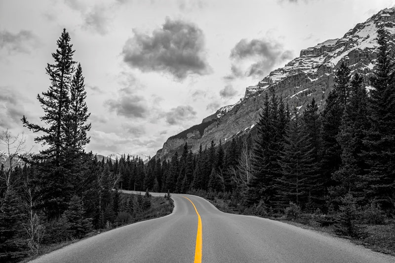 Open Road is Calling