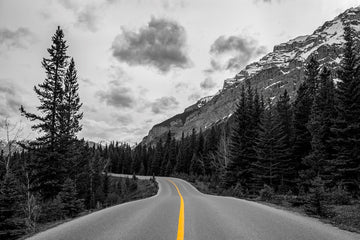 Open Road is Calling