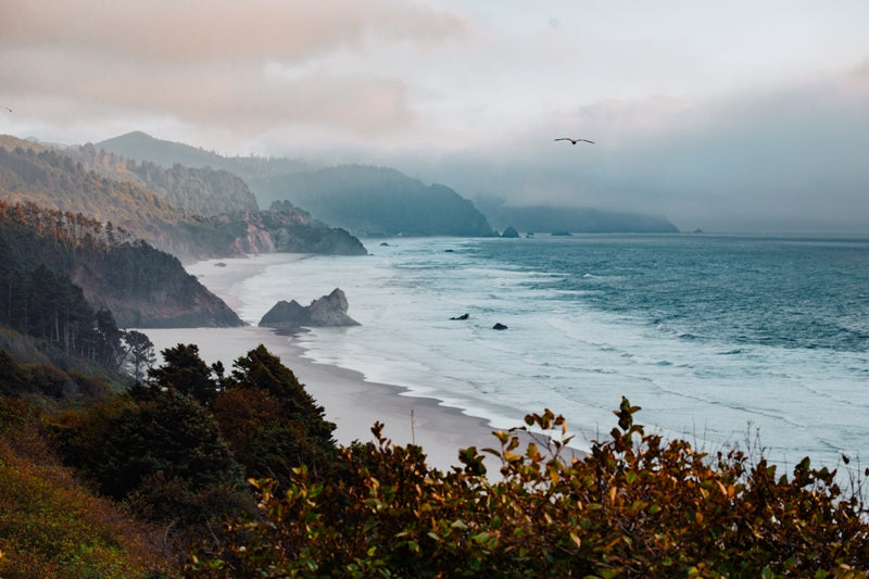Oregon Coastline 2