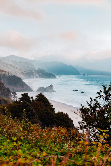 Oregon Coastline