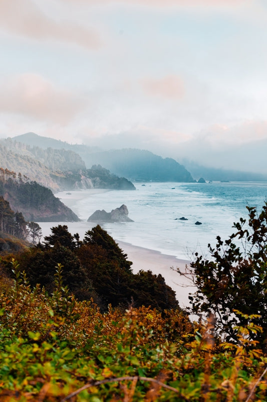 Oregon Coastline
