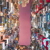 Concrete Jungle