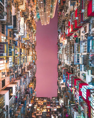 Concrete Jungle