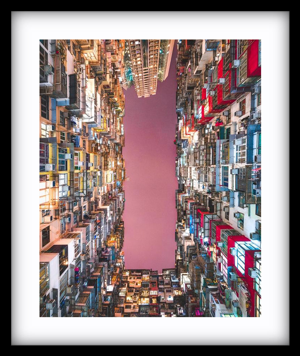 Concrete Jungle