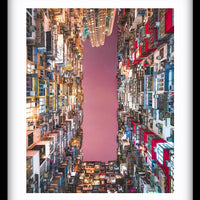 Concrete Jungle