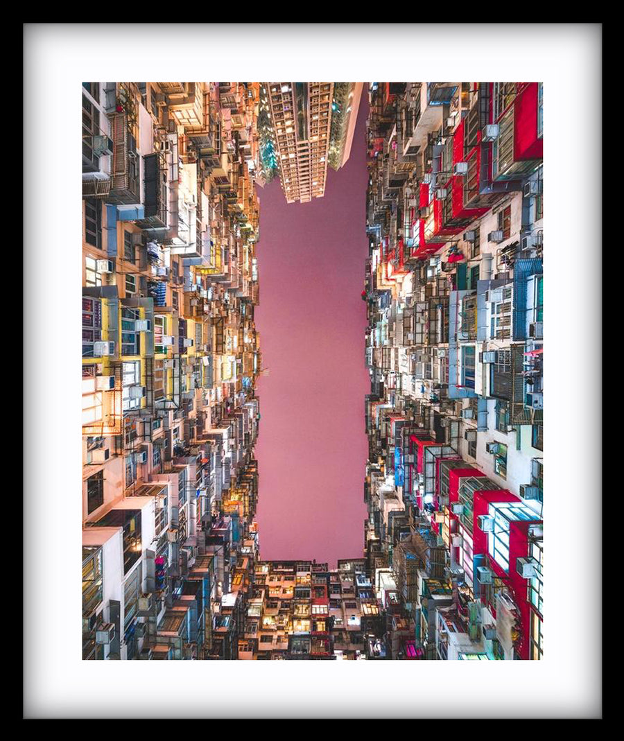 Concrete Jungle