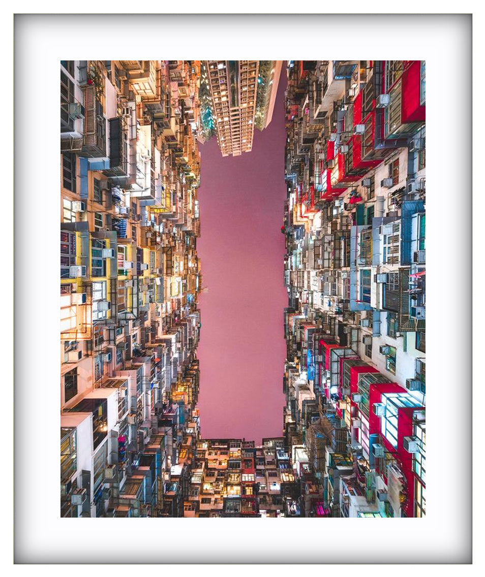 Concrete Jungle