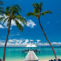 Orpheus Island Jetty