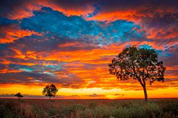 Outback Sunset