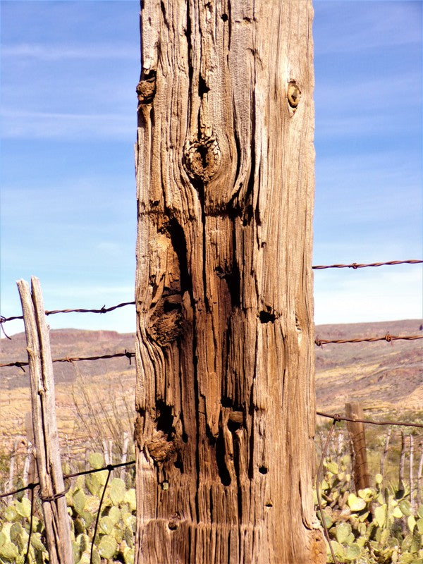 Out west