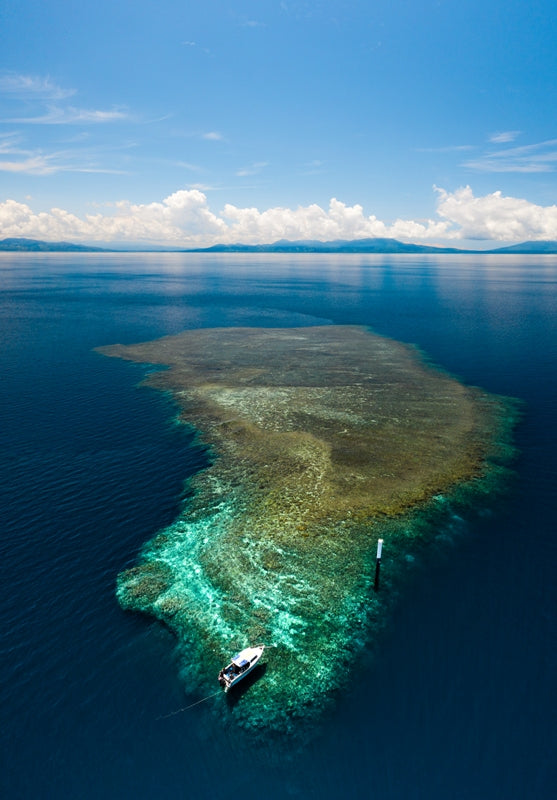 Papua New Guinea