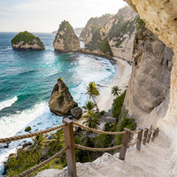 Paradise Path