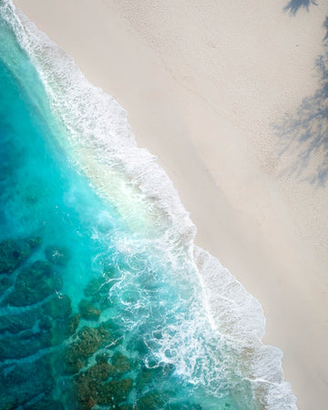 PURE SLICE OF PARADISE