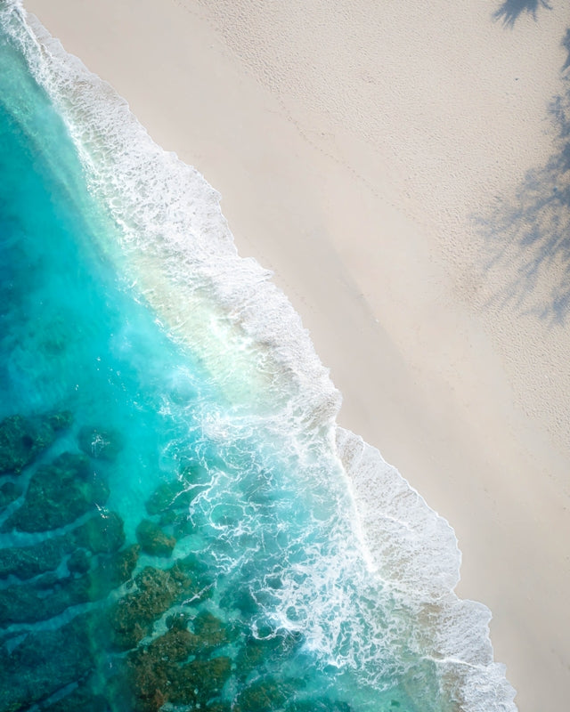 PURE SLICE OF PARADISE