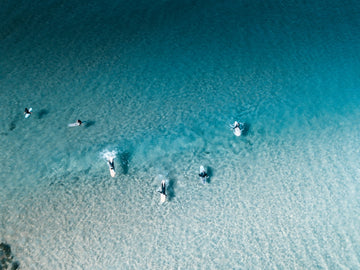 Paddle Crew