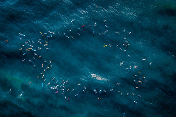 Paddleout #28