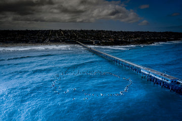 Paddleout #30