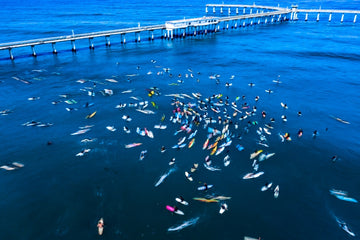 Paddleout #35