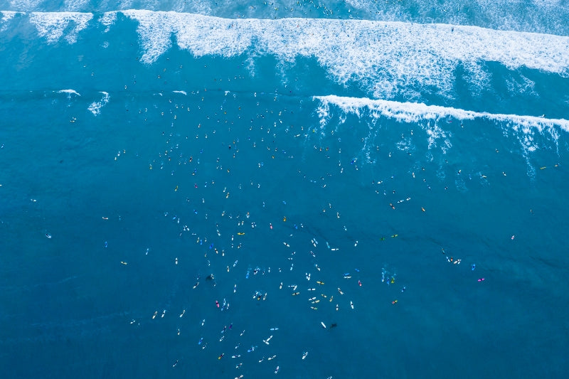 Paddleout #7
