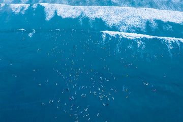 Paddleout #7