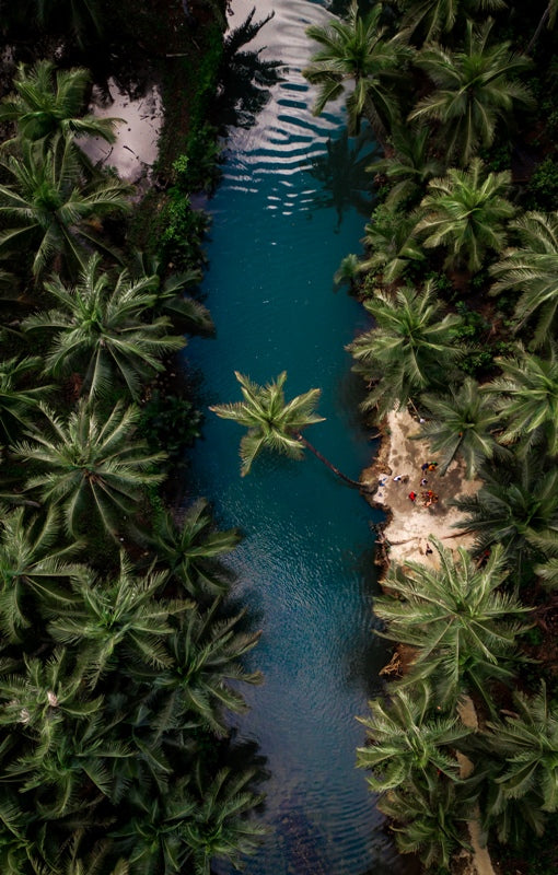Palm Island