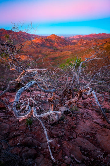 Parachilna Flinders Ranges