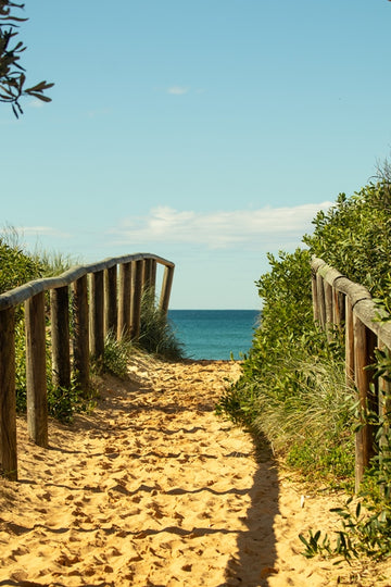 Paradise Path