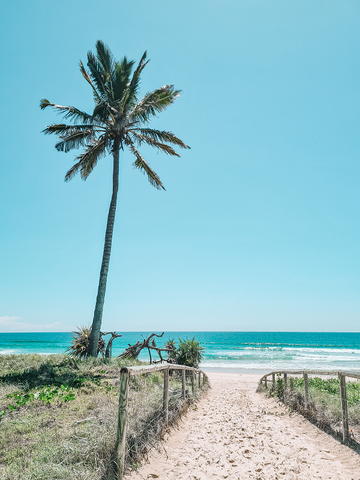 Paradise