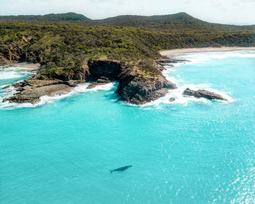 Passing by Noosa National Park