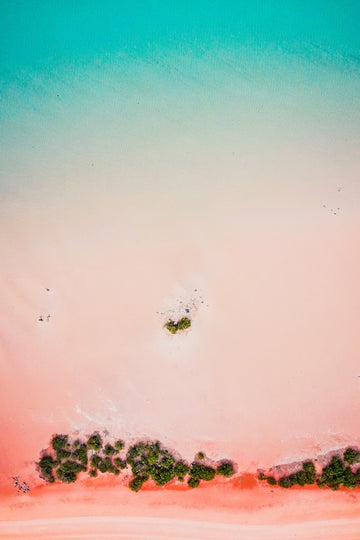 Pastel Paradise
