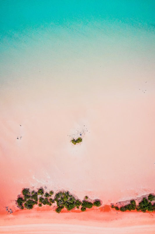 Pastel Paradise
